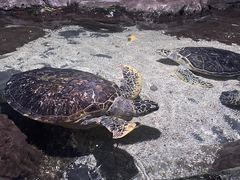 -郑州海洋馆