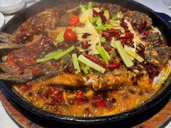 -老板恋上鱼(高新万达店)