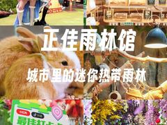 -正佳雨林生态植物园