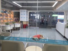 -贝利宠物医院·骨科·眼科·肿瘤转诊中心(南坪诊疗中心)