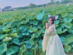 -梁鸿国家湿地公园