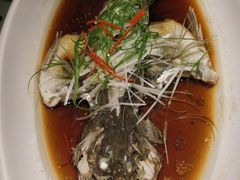 清蒸桂鱼-最高台(亳州路店)