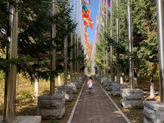 -长春世界雕塑园冰雪艺术天地