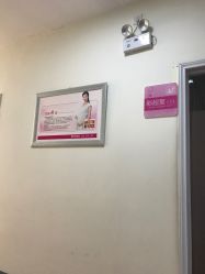 -北京安琪