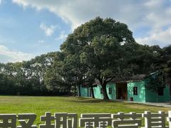 -同里国家湿地公园