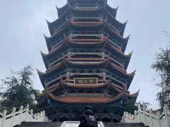 -铁山坪森林公园