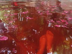 -湖泉半山温泉(湖泉生态园)