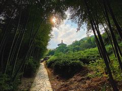 -天下玉苑