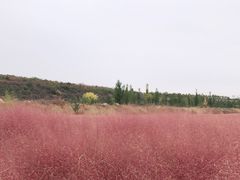 -红石沟生态休闲农场