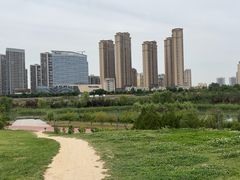 -西安浐灞国家湿地公园