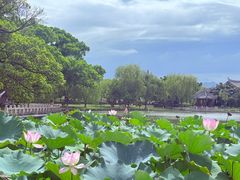 -江心屿景区