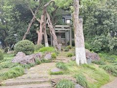 -江心屿景区