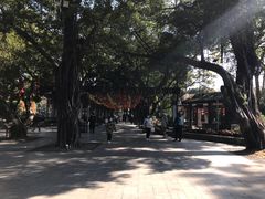 -荔湾湖公园