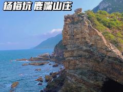 -杨梅坑
