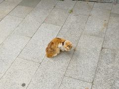 -苏州河梦清园环保主题公园