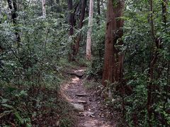 -广州市白云山风景名胜区