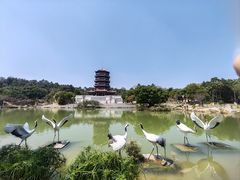 -八仙山公园