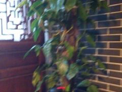 江南忆茶坊-江南忆茶坊(城市店)