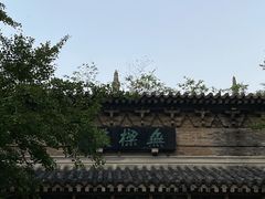 -灵谷景区