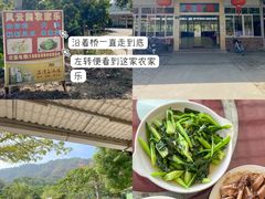 -风云岭森林公园