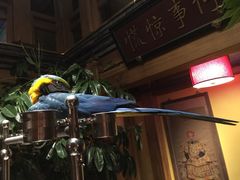 那家小馆(中关村店)-那家小馆•北京菜•烤鸭(中关村店)