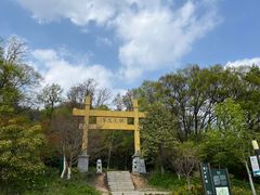 -南京老山国家森林公园