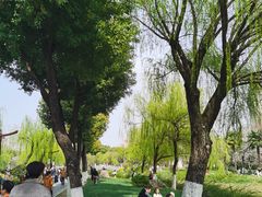 -堤角公园