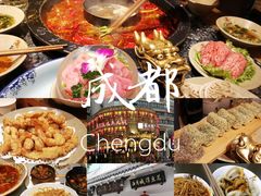 -陈麻婆豆腐总店