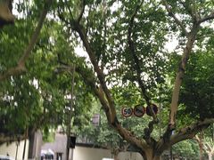 -江苏省美术馆(长江路新馆)
