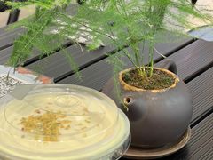 -茶月山·潮汕工夫茶饮(乐峰广场店)