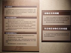 -大庆市博物馆