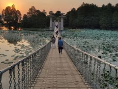 -东湖落雁景区
