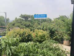 -蘇河湾·新鲁菜·泰山宴(泰山店)