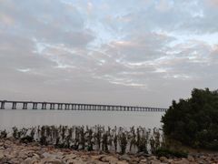 -宝安西湾红树林湿地公园