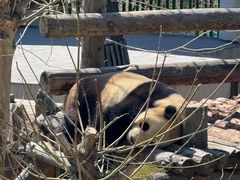 -大连森林动物园