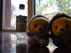 bb说他们也喜欢这里-哈尔滨北方国际青年旅舍(中央大街店)