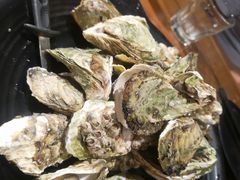 原味生蚝-烧货·活海鲜炭烧(湖滨商业街店)