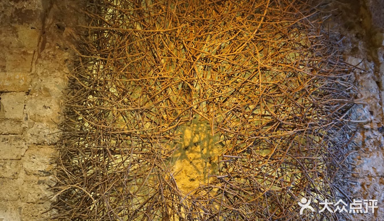 特拉维夫之行的最大惊喜