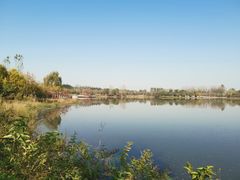 -东郊湿地公园
