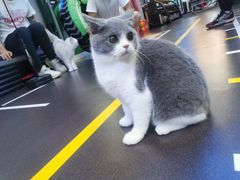 -M.S拳击泰拳馆(大学路店)