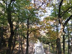 -青岛崂山太清宫
