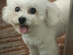 -默迹咖啡馆