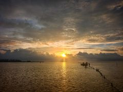 -红树林天天赶海
