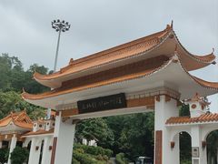 -深圳仙湖植物园