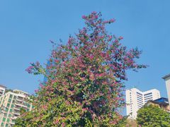 -晓港公园