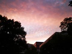 -浙江大学(玉泉校区)