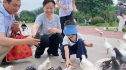-玄武湖景区-情侣园游乐场
