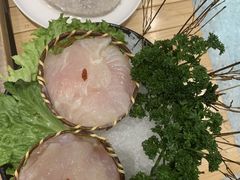 -江小渔鲜鱼火锅(冠亚星城店)