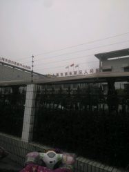 -上海市浦东新区人民医院儿科