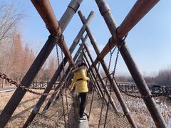 -溱湖国家湿地公园